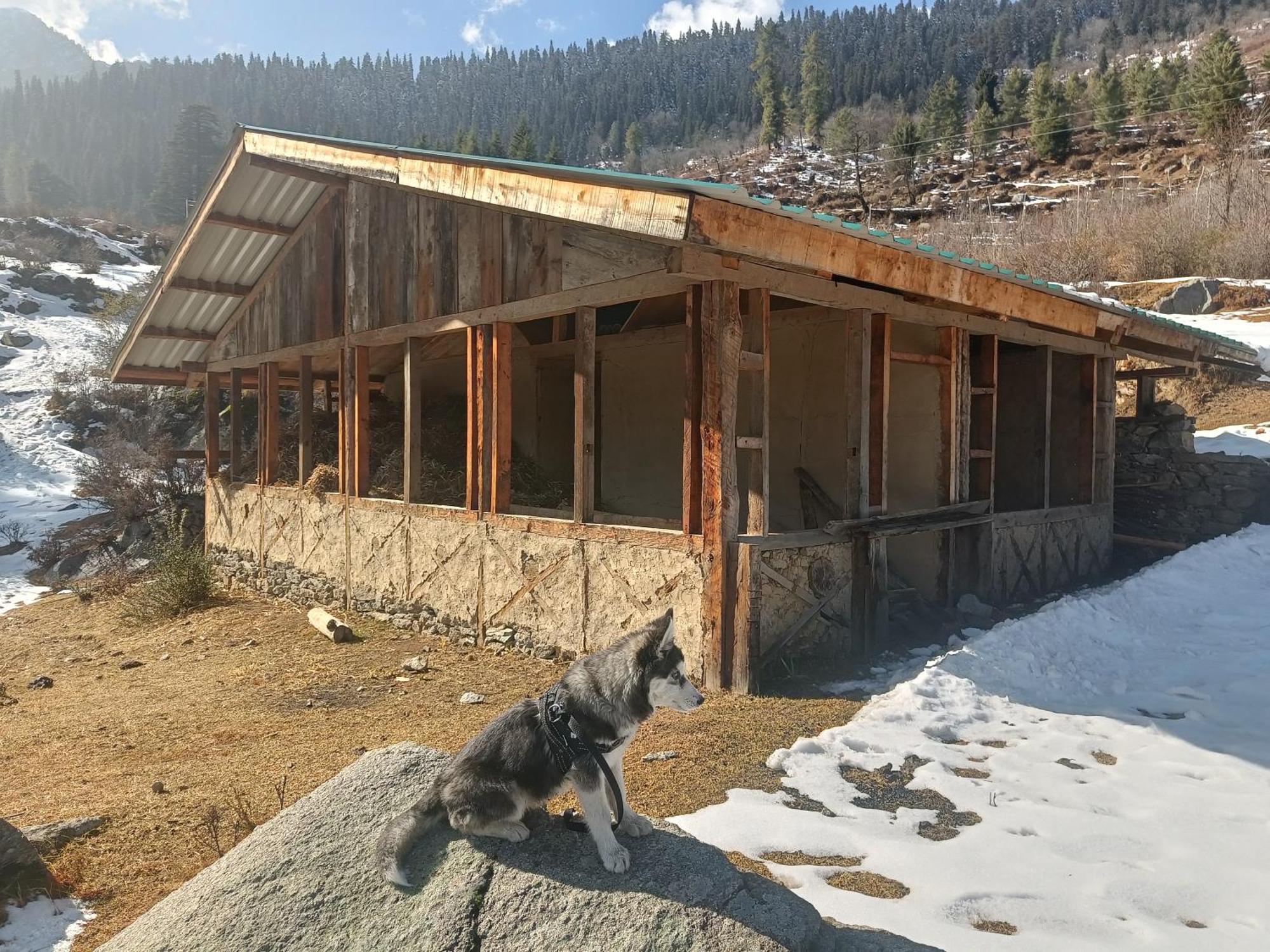 Trimounts-A Boutique Hotel & Wellnes Center In Tirthan Valley Banjār Exteriör bild