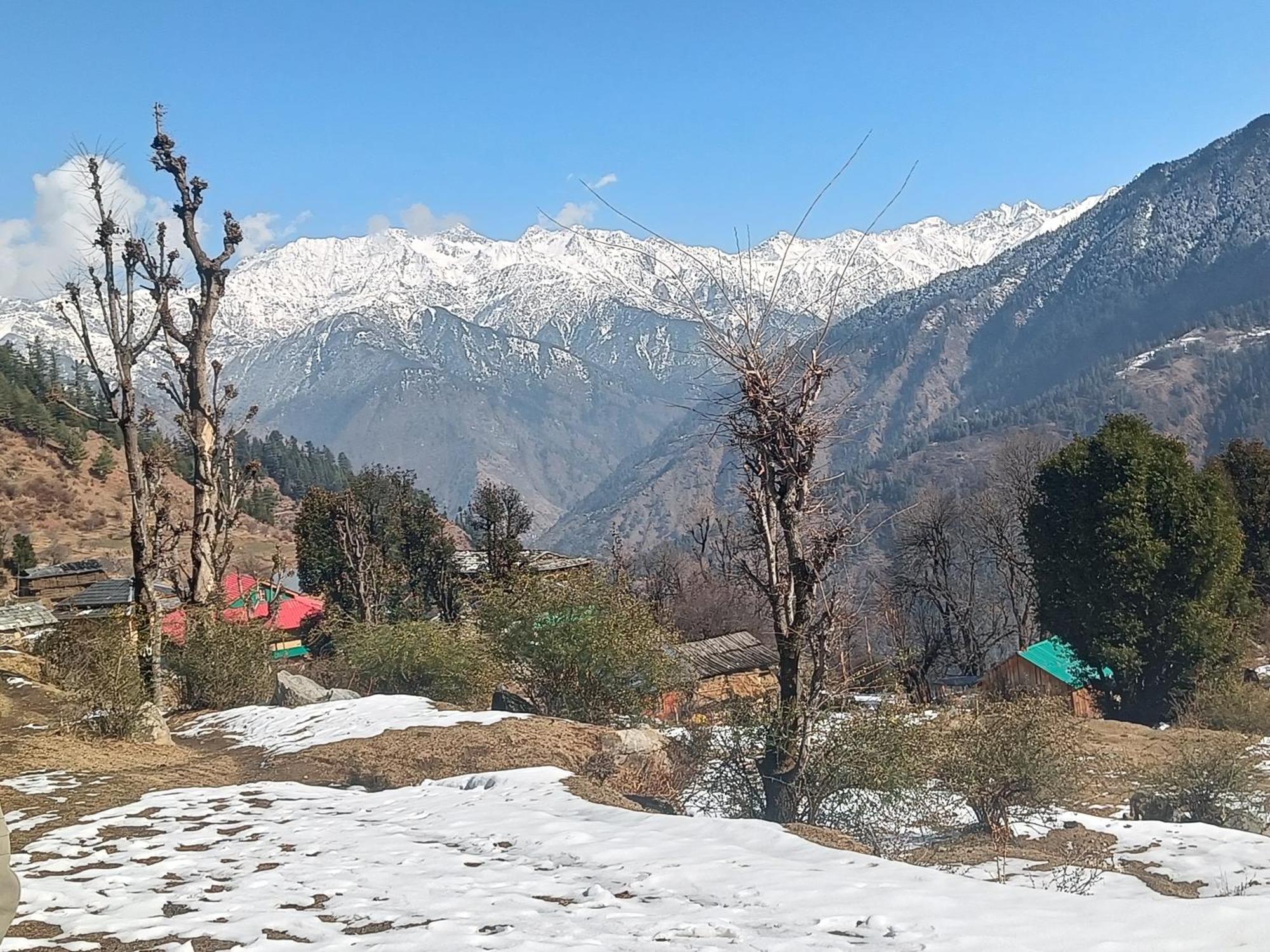 Trimounts-A Boutique Hotel & Wellnes Center In Tirthan Valley Banjār Exteriör bild