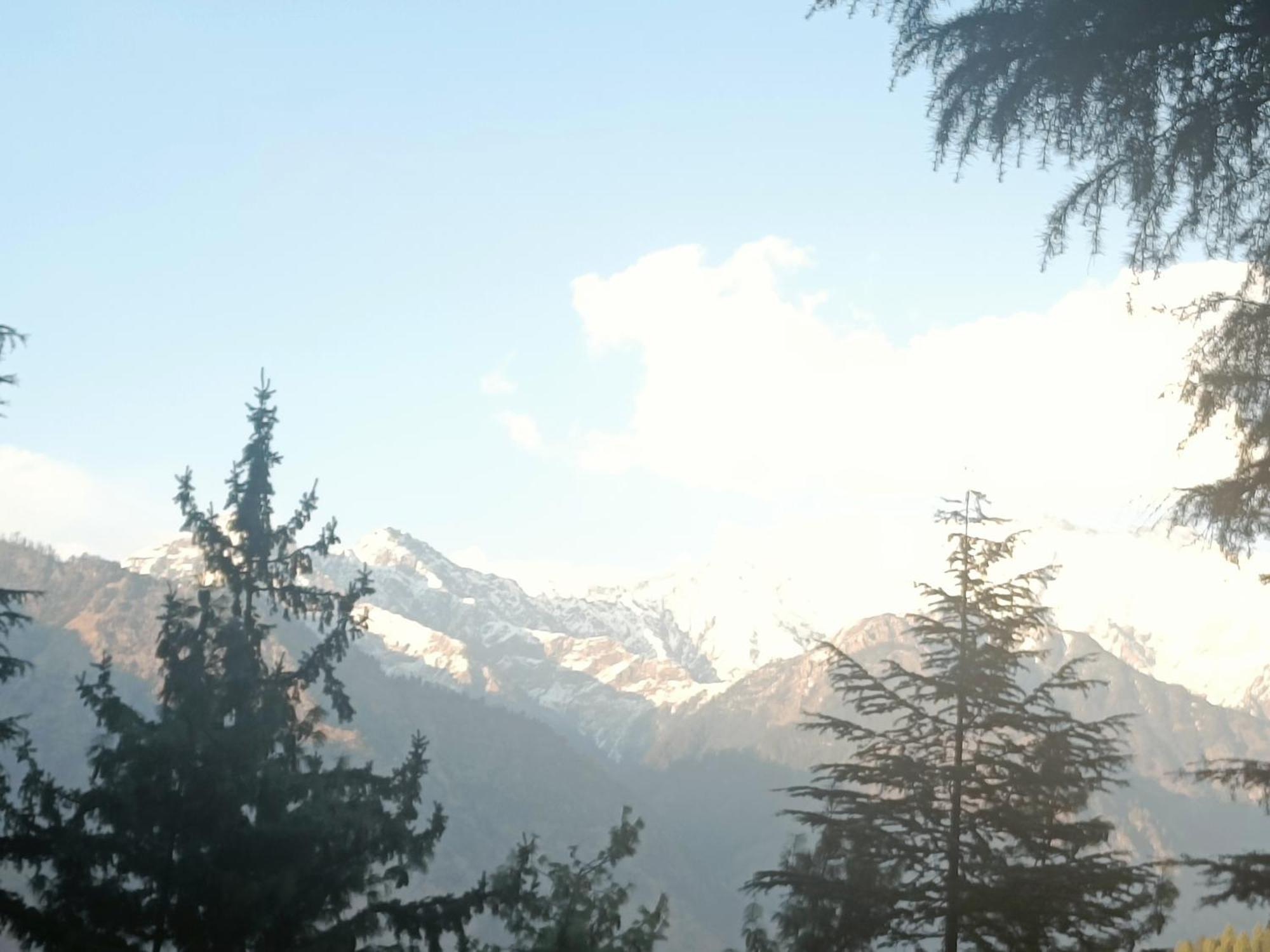 Trimounts-A Boutique Hotel & Wellnes Center In Tirthan Valley Banjār Exteriör bild