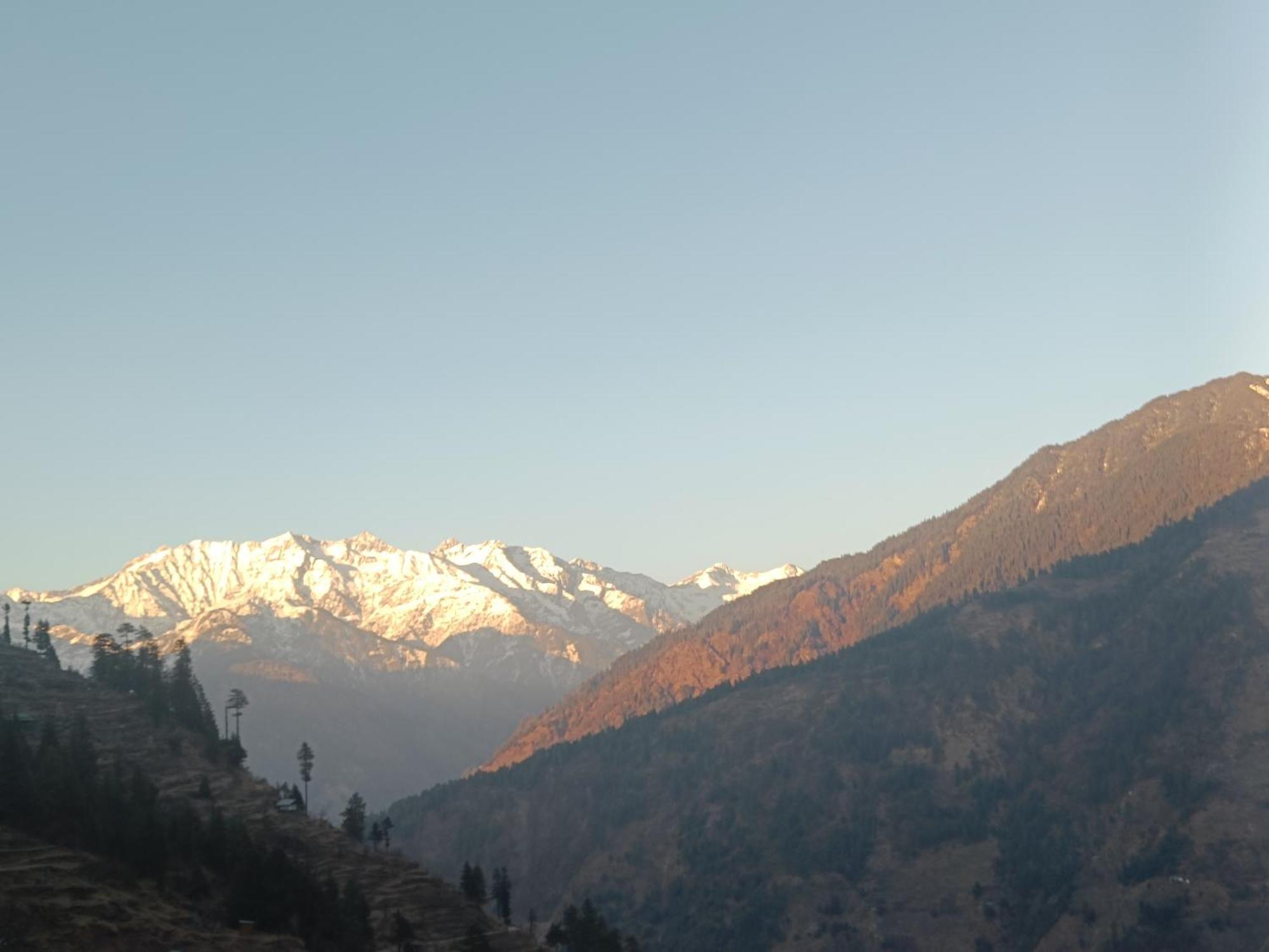 Trimounts-A Boutique Hotel & Wellnes Center In Tirthan Valley Banjār Exteriör bild