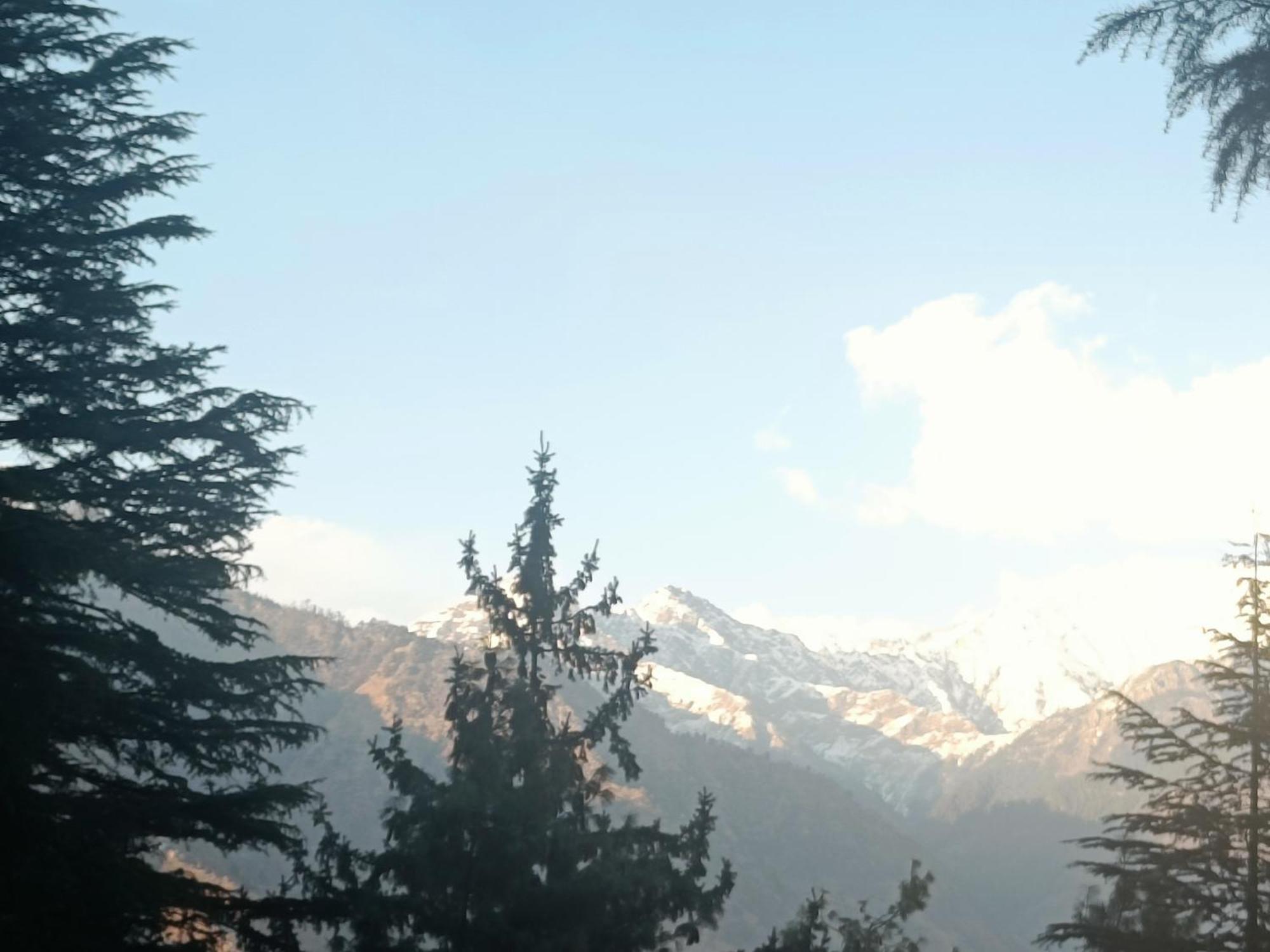Trimounts-A Boutique Hotel & Wellnes Center In Tirthan Valley Banjār Exteriör bild